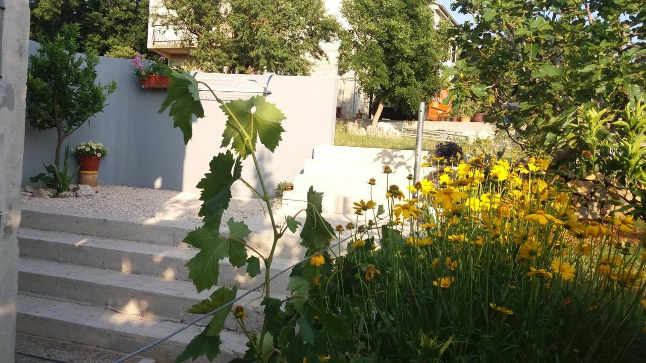 Apartments Irina Rovanjska Exterior photo